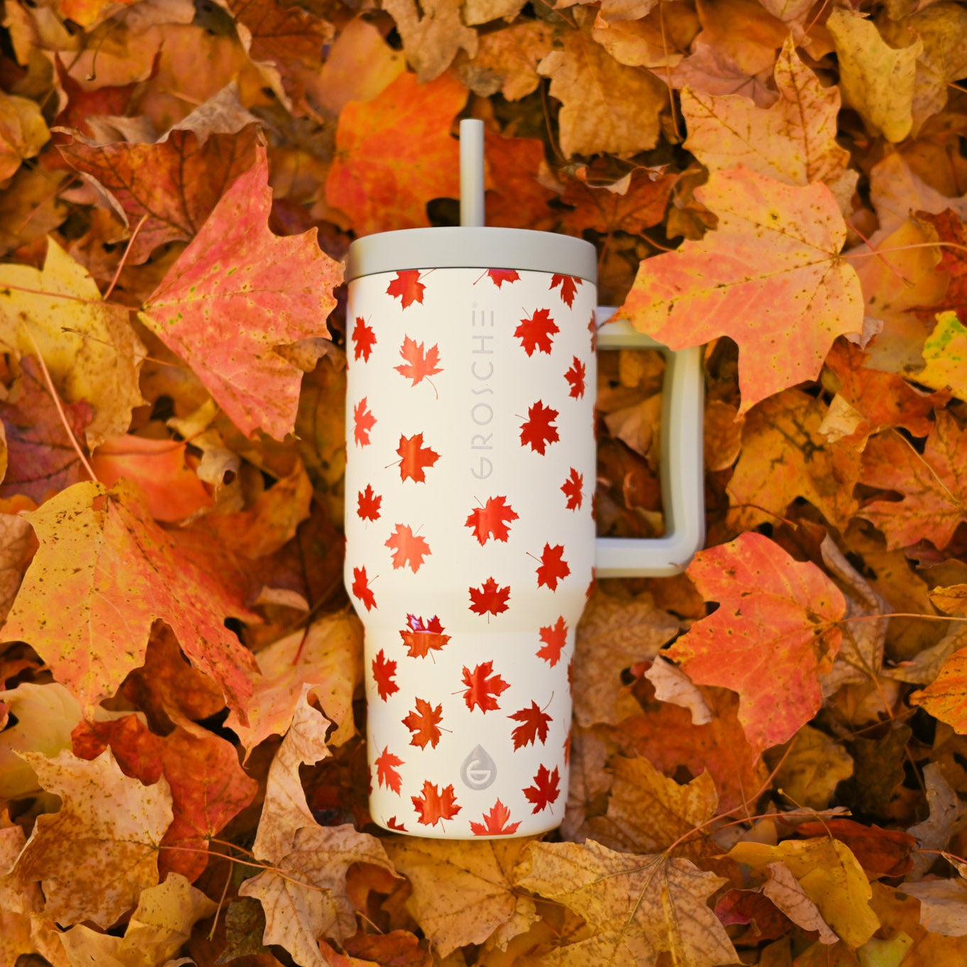 White tumbler with red leaf pattern on a bed of autumn leaves
