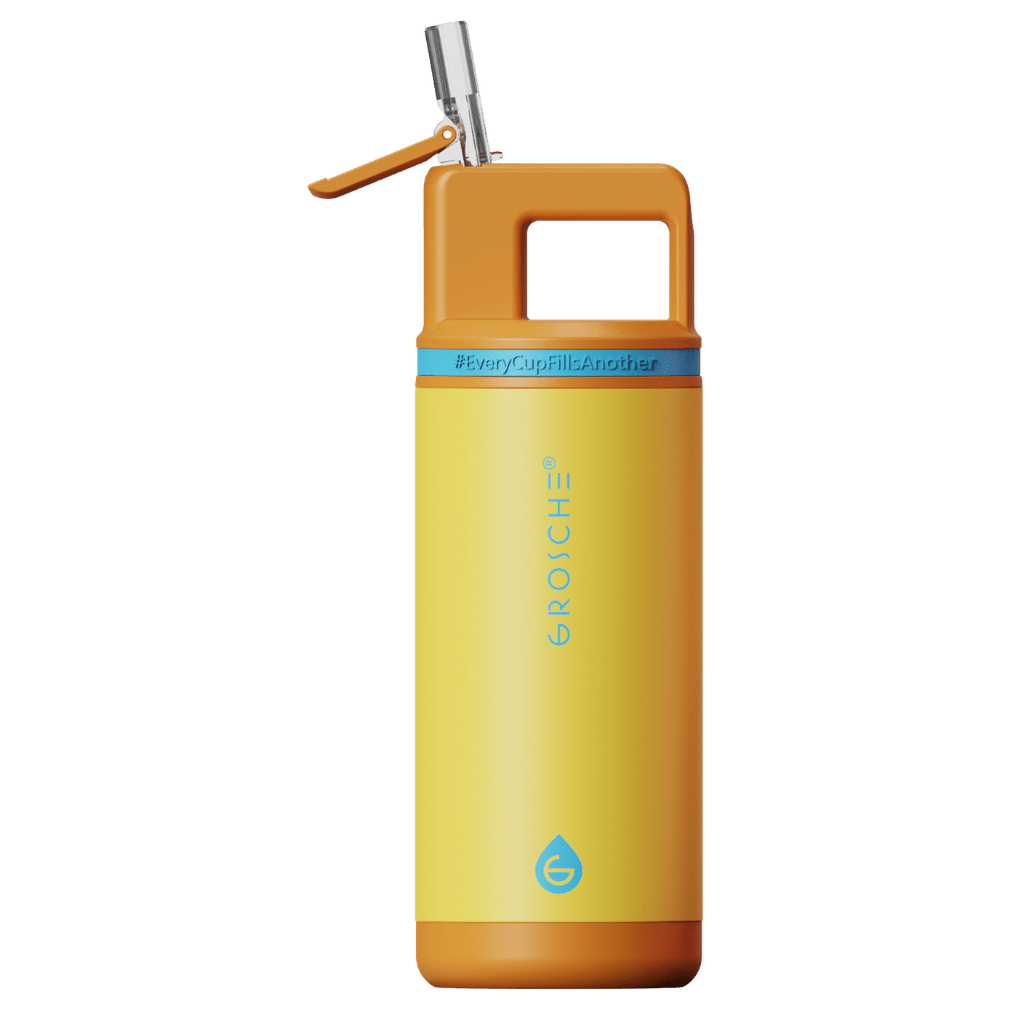 ALPINE Flip 'N Sip Kids Insulated Water Bottle With Straw, 16oz - GROSCHE International Inc.