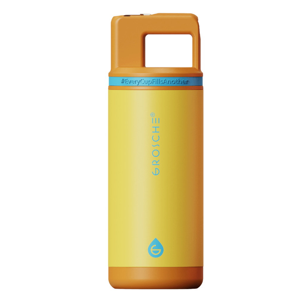 ALPINE Flip 'N Sip Kids Insulated Water Bottle With Straw, 16oz - GROSCHE International Inc.