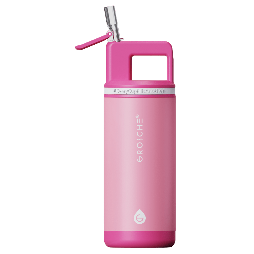 ALPINE Flip 'N Sip Kids Insulated Water Bottle With Straw, 16oz - GROSCHE International Inc.