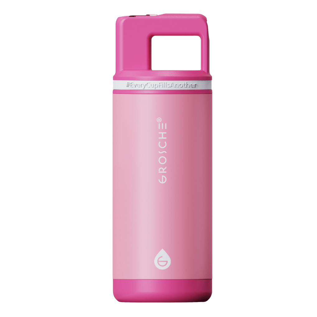ALPINE Flip 'N Sip Kids Insulated Water Bottle With Straw, 16oz - GROSCHE International Inc.