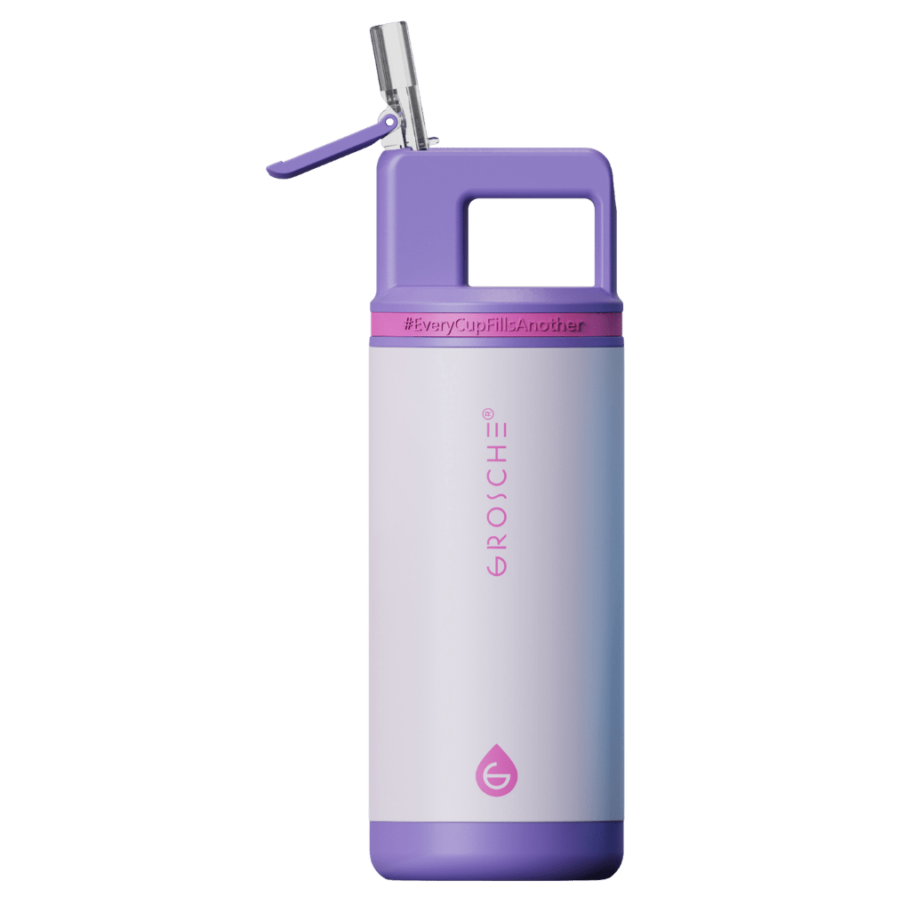 ALPINE Flip 'N Sip Kids Insulated Water Bottle With Straw, 16oz - GROSCHE International Inc.