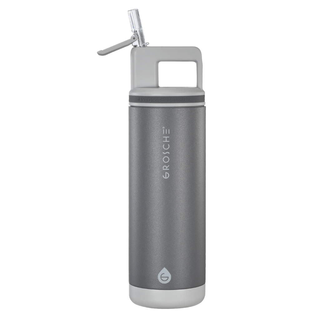 ALPINE Flip 'N Sip Insulated Water Bottle With Straw, 20oz - GROSCHE International Inc.
