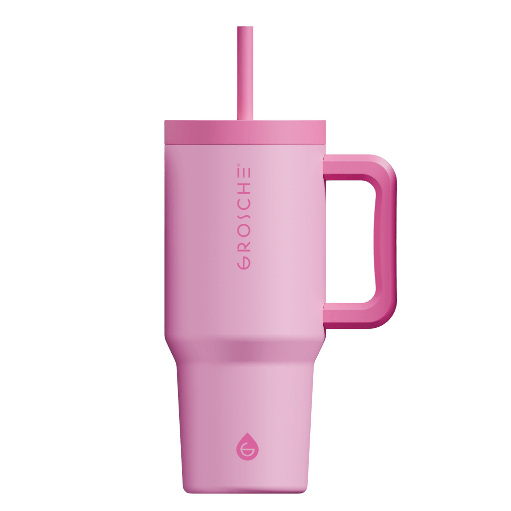 ASPEN Insulated Tumbler with Handle and Straw, 32oz | OPEN BOX - GROSCHE International Inc.