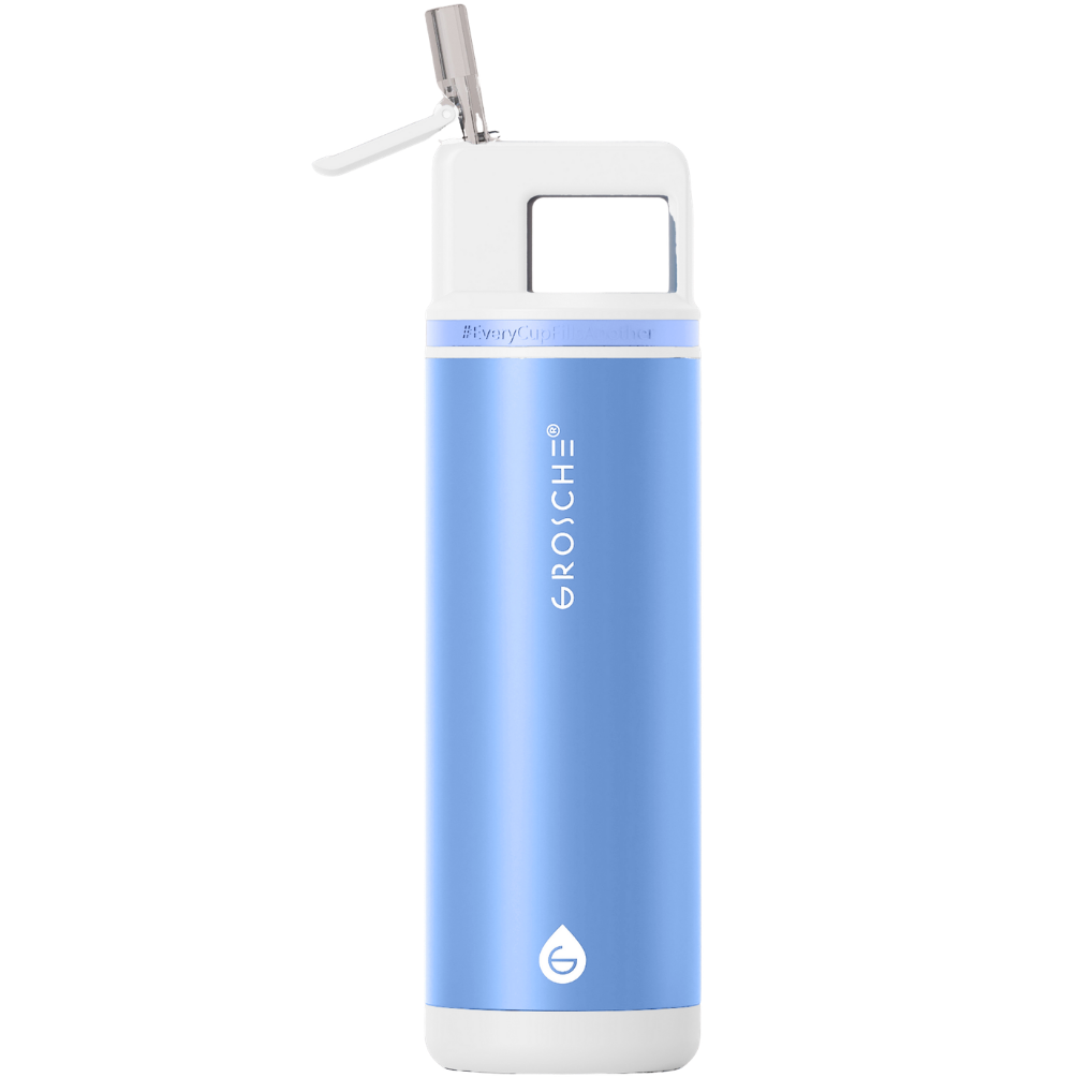 ALPINE Flip 'N Sip Insulated Water Bottle With Straw, 20oz