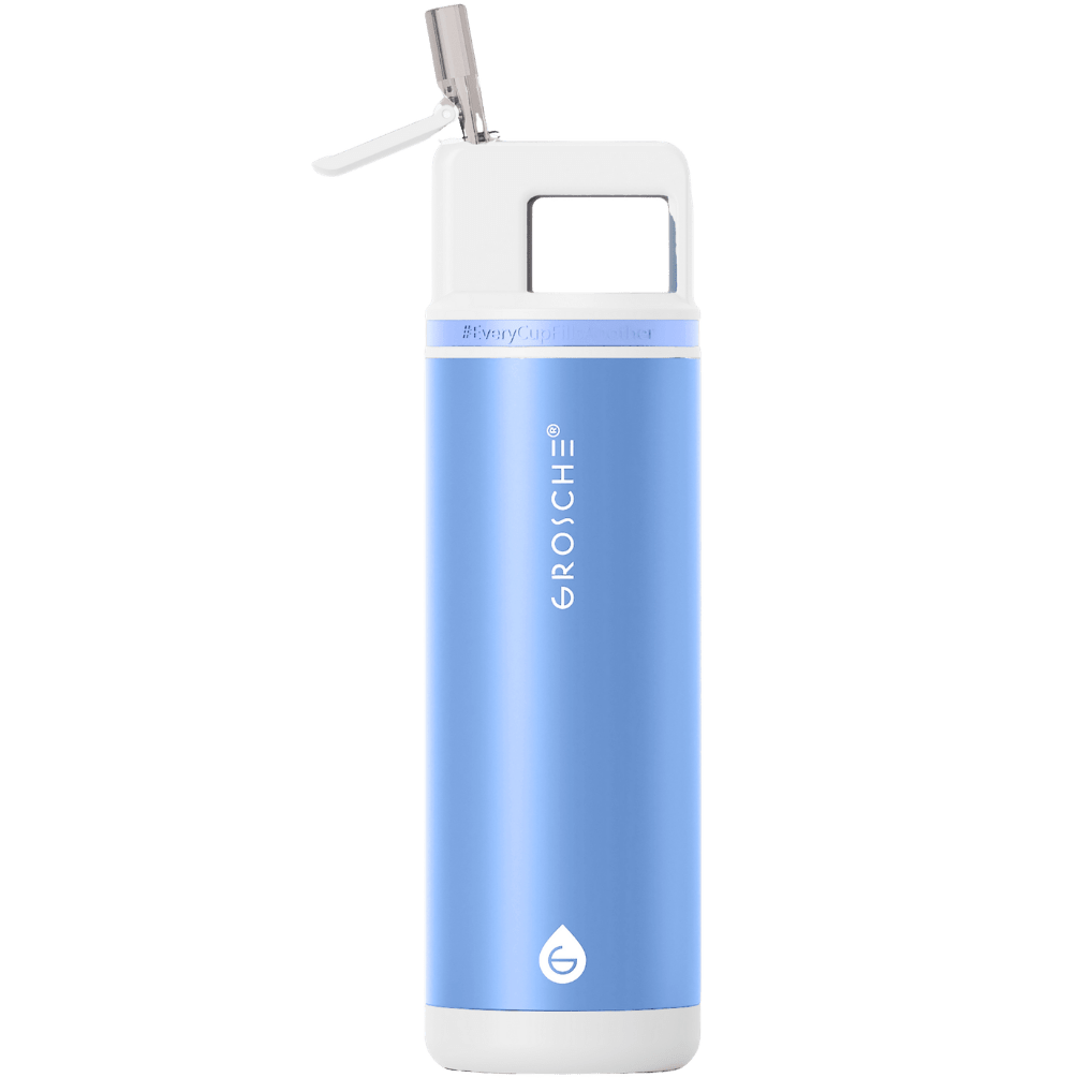 ALPINE Flip 'N Sip Insulated Water Bottle With Straw, 20oz - GROSCHE International Inc.