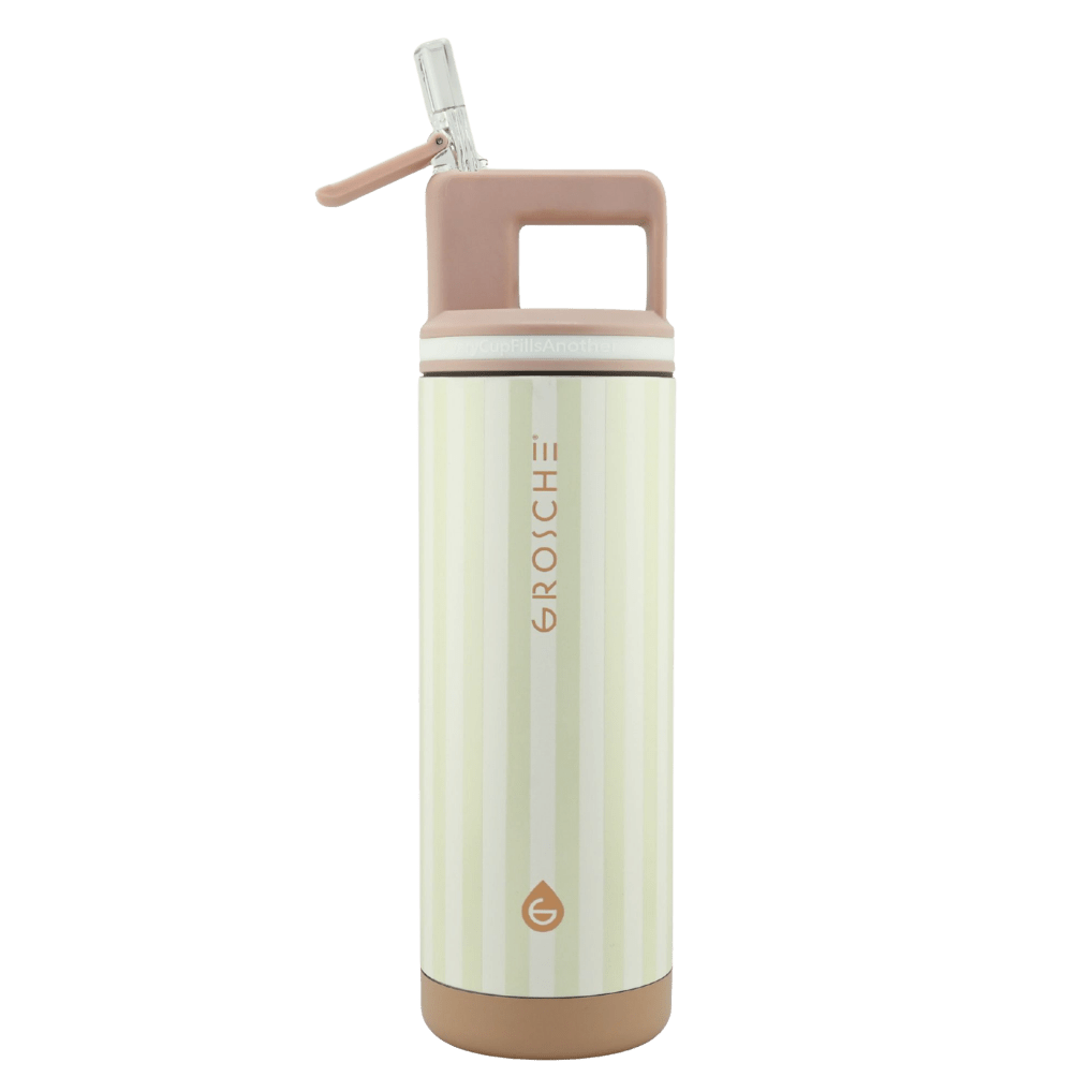 ALPINE Flip 'N Sip Insulated Water Bottle With Straw, 20oz - GROSCHE International Inc.