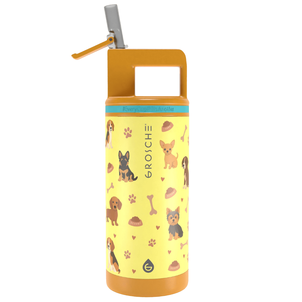 ALPINE Flip 'N Sip Kids Insulated Water Bottle With Straw, 16oz - GROSCHE International Inc.