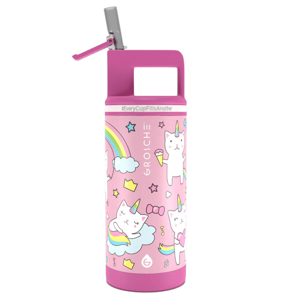 ALPINE Flip 'N Sip Kids Insulated Water Bottle With Straw, 16oz - GROSCHE International Inc.
