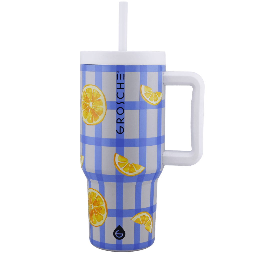 ASPEN Insulated Tumbler with Handle and Straw, 32oz | OPEN BOX - GROSCHE International Inc.