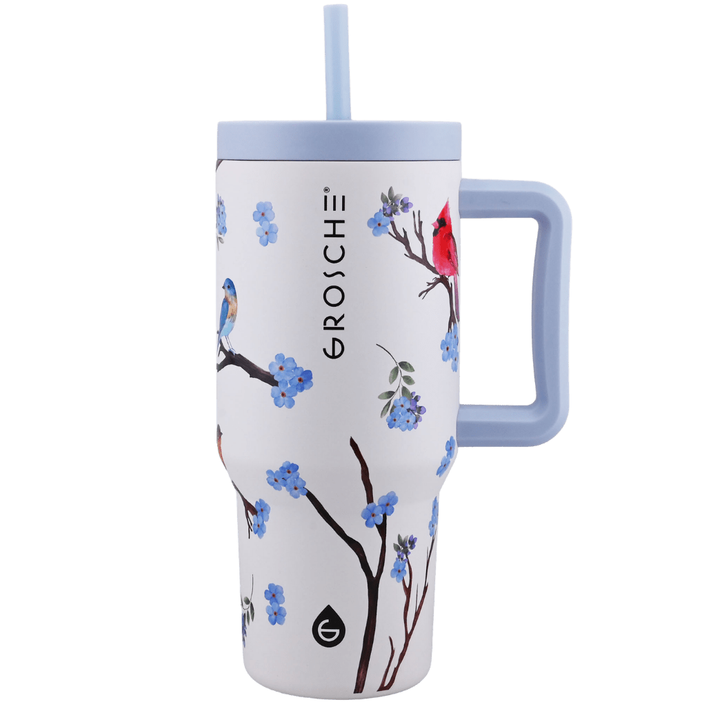 ASPEN Insulated Tumbler with Handle and Straw, 32oz | OPEN BOX - GROSCHE International Inc.