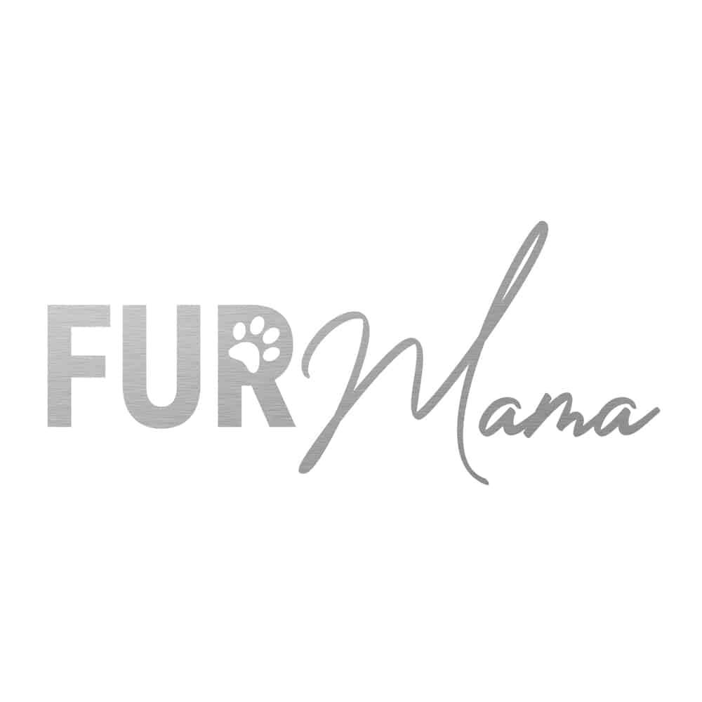 MILANO Stainless Steel | Fur Mama, 6 Cup + 10 Cup