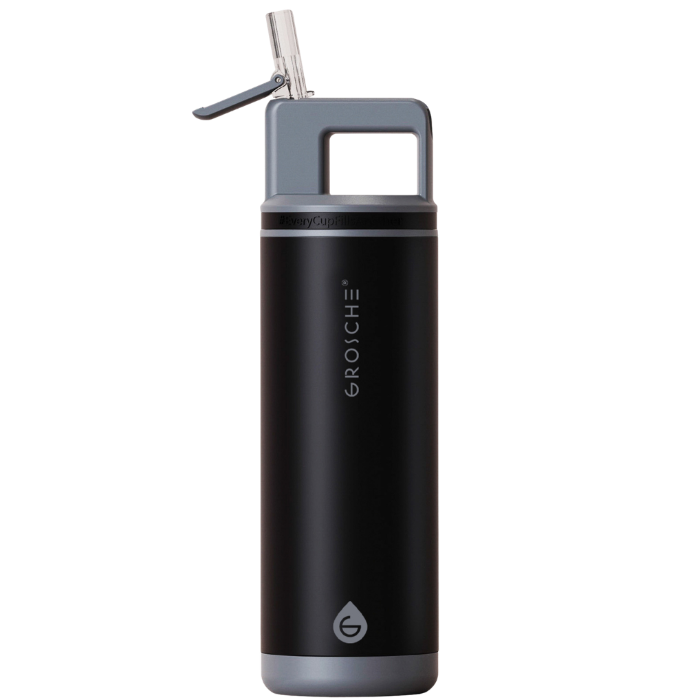 ALPINE Flip 'N Sip Insulated Water Bottle With Straw, 20oz