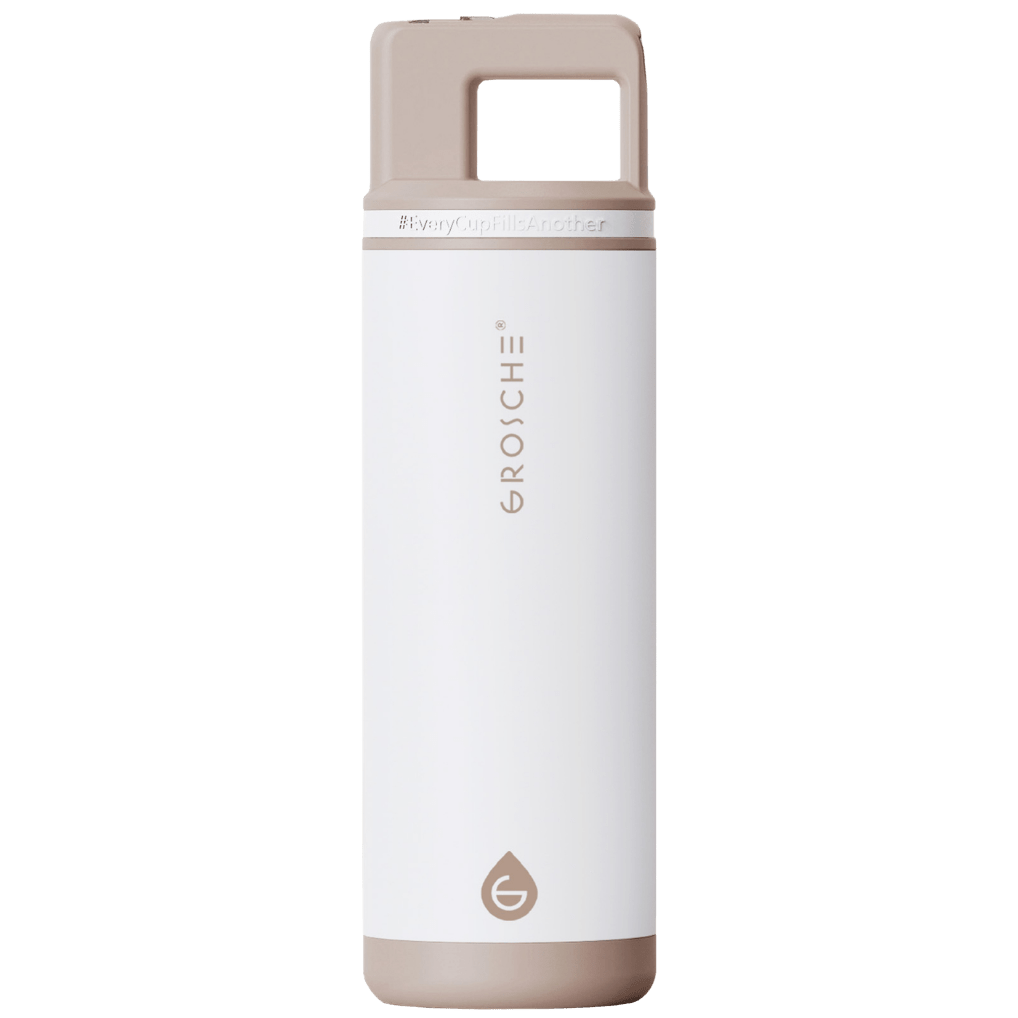 ALPINE Flip 'N Sip Insulated Water Bottle With Straw, 20oz - GROSCHE International Inc.