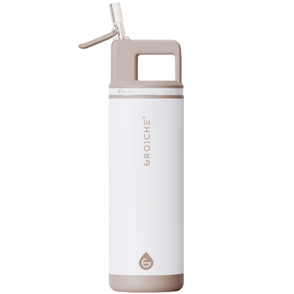 ALPINE Flip 'N Sip Insulated Water Bottle With Straw, 20oz - GROSCHE International Inc.
