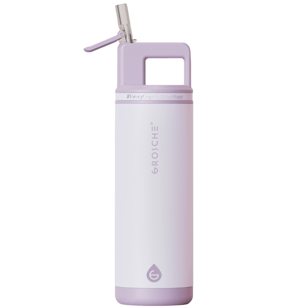 ALPINE Flip 'N Sip Insulated Water Bottle With Straw, 20oz - GROSCHE International Inc.