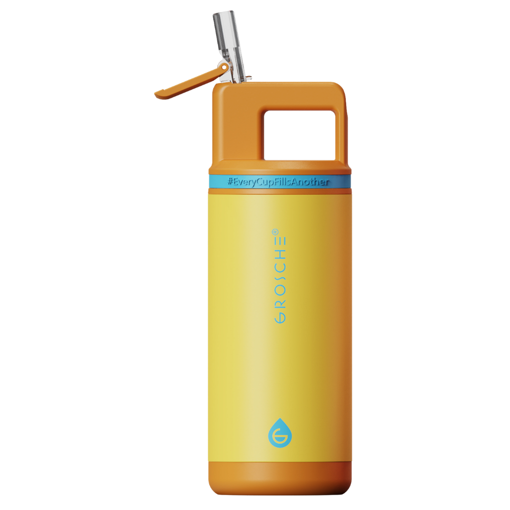 ALPINE Flip 'N Sip Kids Insulated Water Bottle With Straw - GROSCHE
