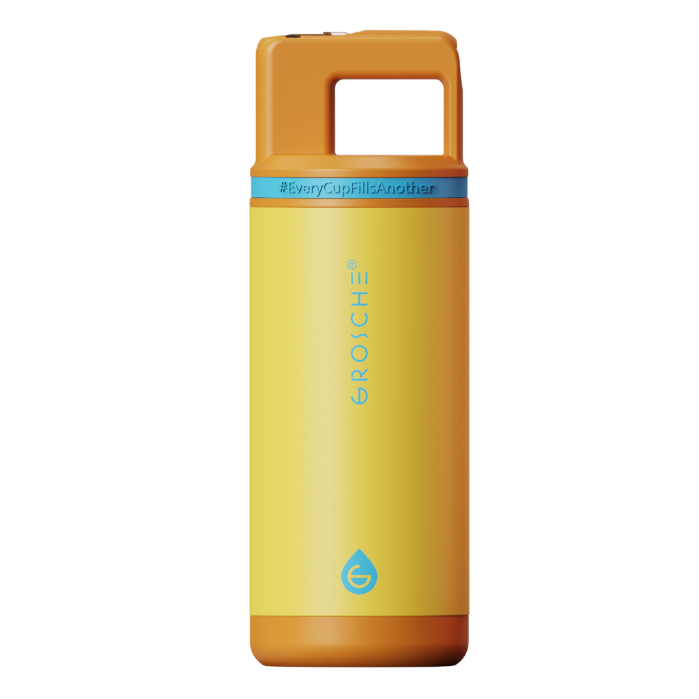 ALPINE Flip 'N Sip Kids Insulated Water Bottle With Straw, 16oz