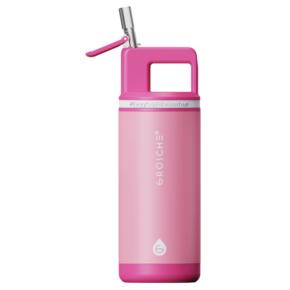 ALPINE Flip 'N Sip Kids Insulated Water Bottle With Straw, 16oz
