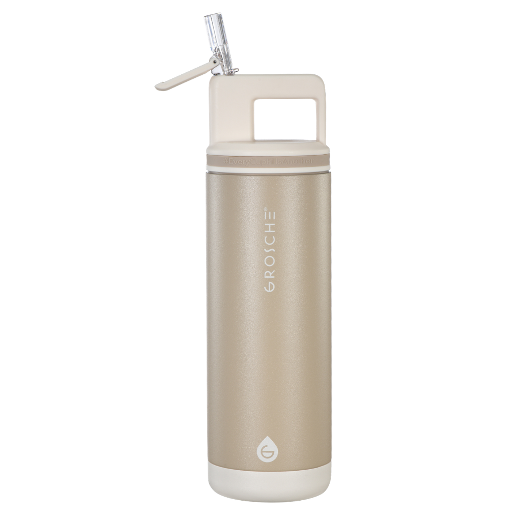 ALPINE Flip 'N Sip Insulated Water Bottle With Straw, 20oz - GROSCHE