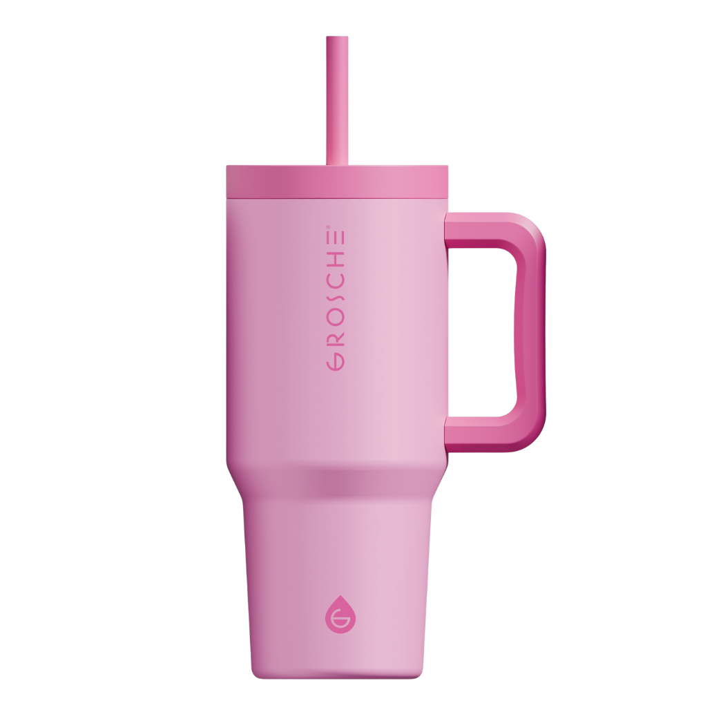 ASPEN Insulated Tumbler with Handle and Straw, 32oz | OPEN BOX - GROSCHE International Inc.