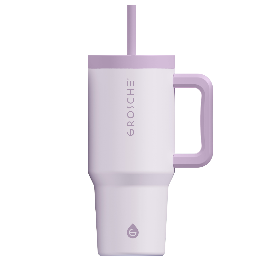 ASPEN Insulated Tumbler with Handle and Straw, 32oz | OPEN BOX - GROSCHE International Inc.