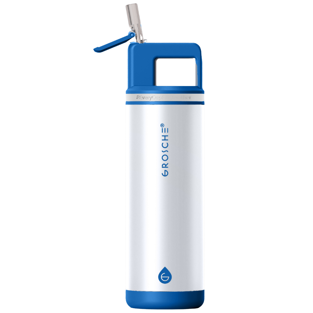 ALPINE Flip 'N Sip Insulated Water Bottle With Straw, 20oz