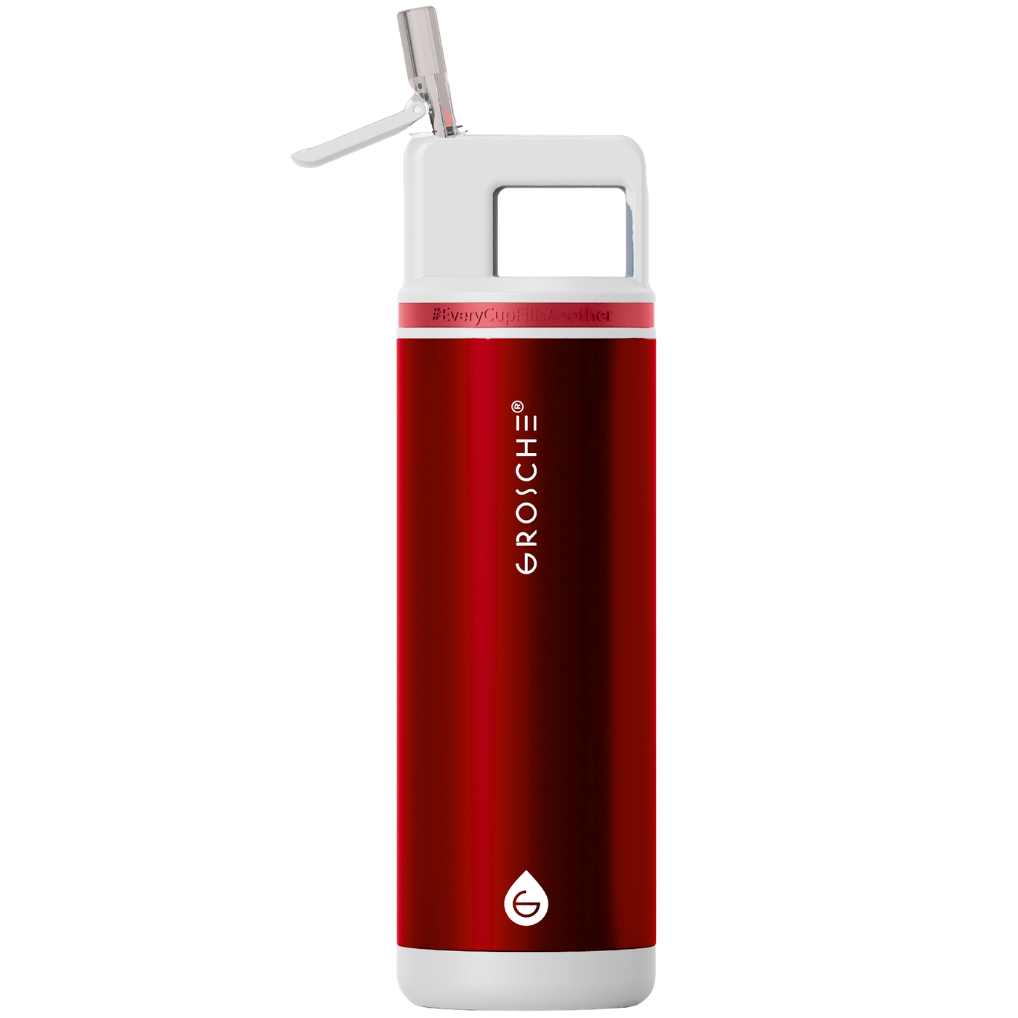 ALPINE Flip 'N Sip Insulated Water Bottle With Straw, 20oz