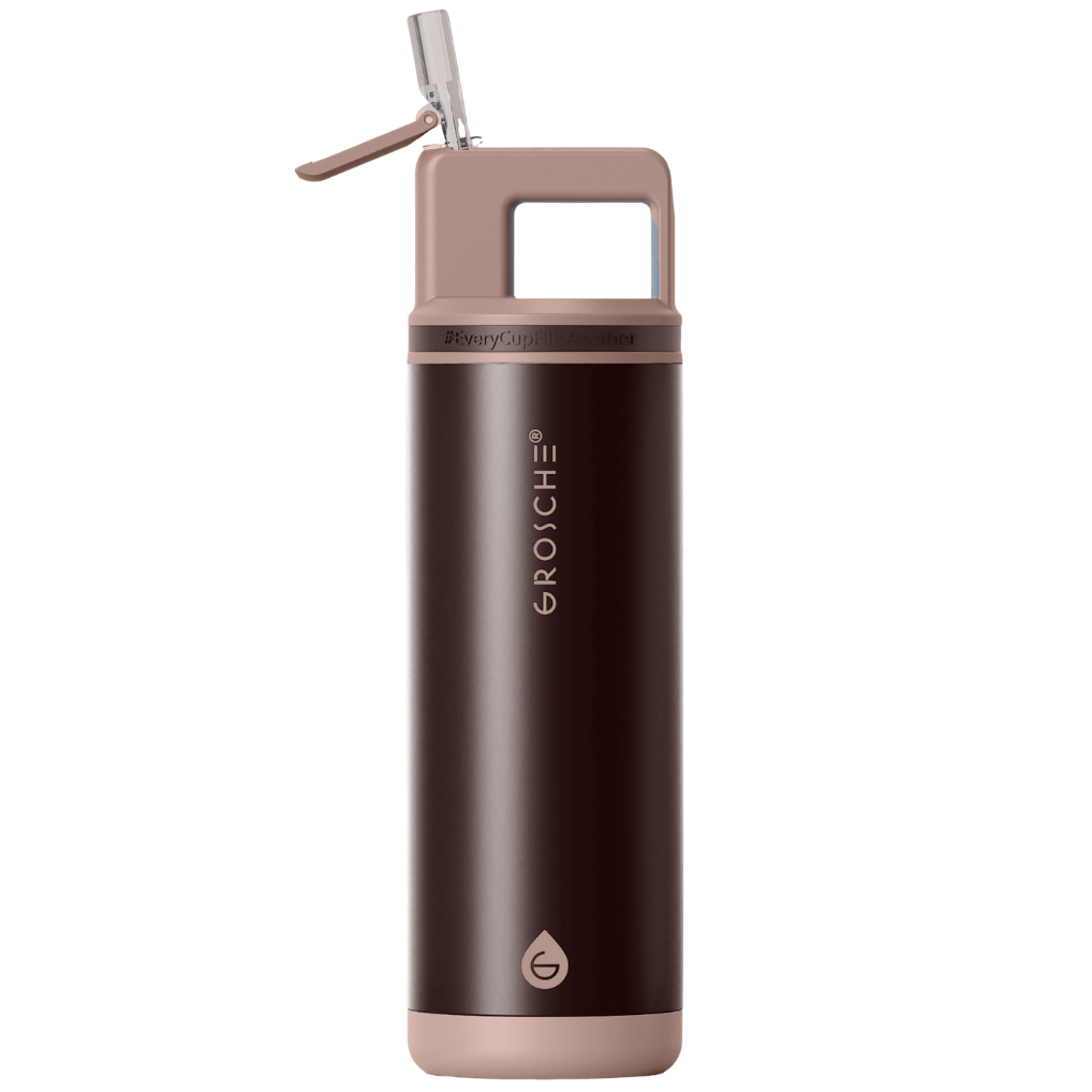 ALPINE Flip 'N Sip Insulated Water Bottle With Straw, 20oz - GROSCHE