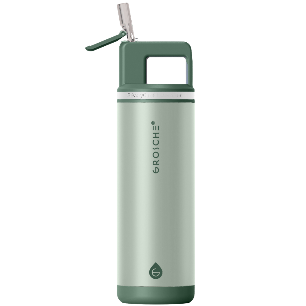 ALPINE Flip 'N Sip Insulated Water Bottle With Straw, 20oz - GROSCHE