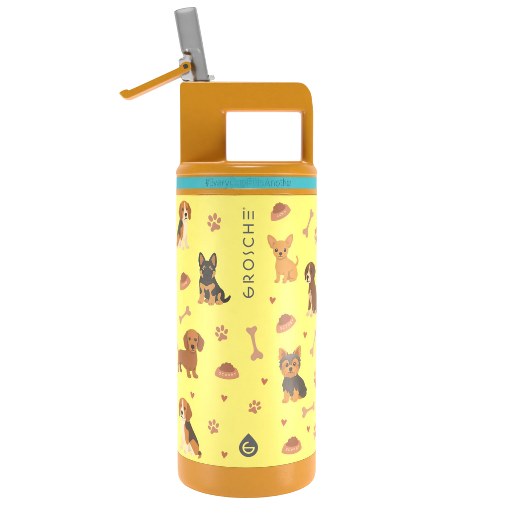 ALPINE Flip 'N Sip Kids Insulated Water Bottle With Straw, 16oz