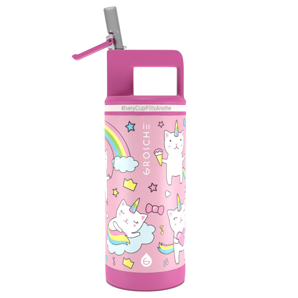 ALPINE Flip 'N Sip Kids Insulated Water Bottle With Straw, 16oz