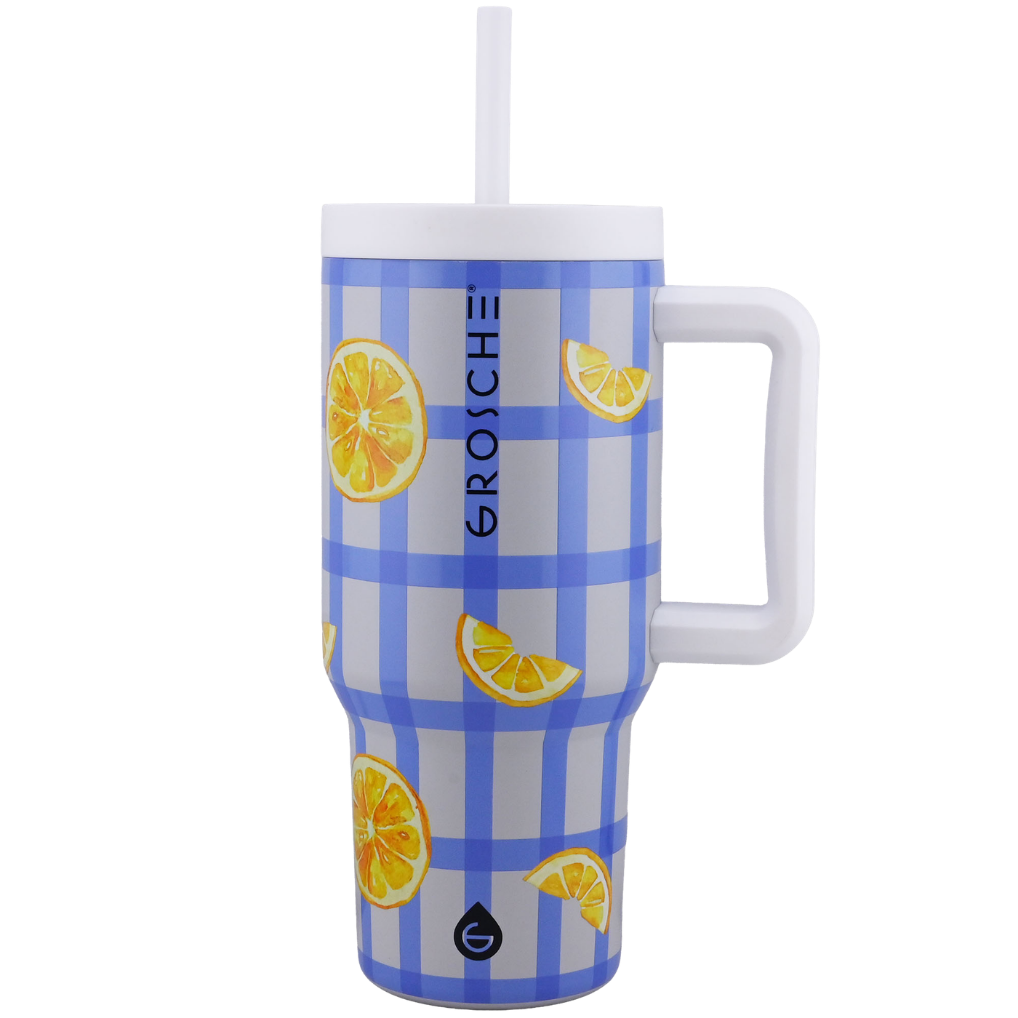 ASPEN Insulated Tumbler with Handle and Straw, 32oz | OPEN BOX - GROSCHE International Inc.