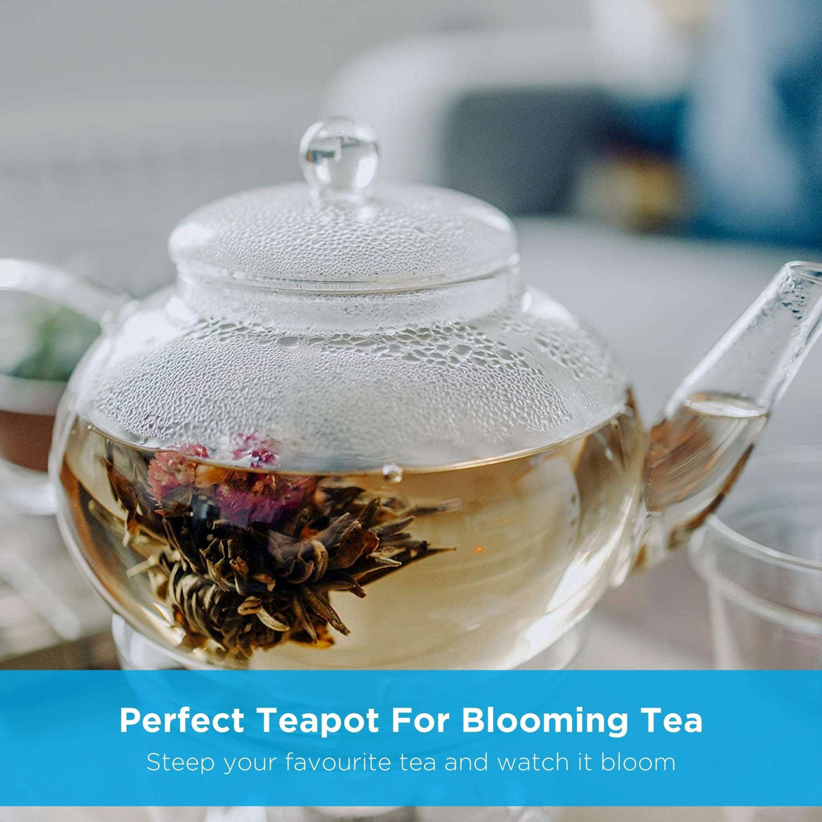 Monaco glass teapot, glass tea strainer, tea steeper, teapot, loose leaf tea strainer