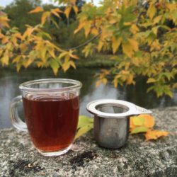 GROSCHE LAVAL Loose Tea Infuser | Lifestyle