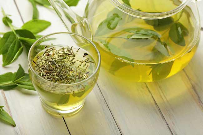 what is sencha healthy green tea cup with tea leaves