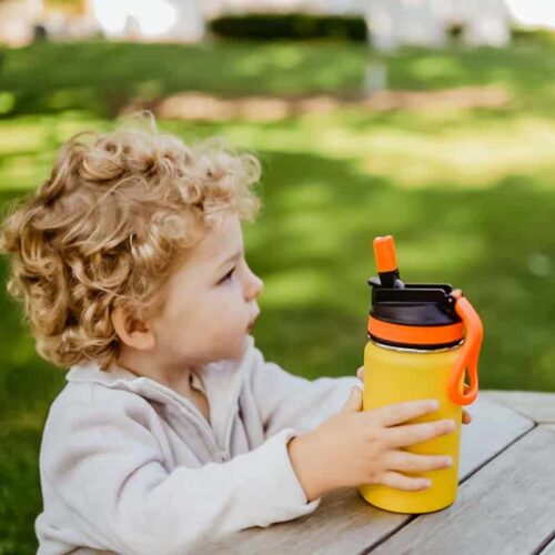lil chill kids insulated water bottle with sippy lid