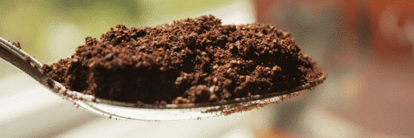 Image of a spoon holding coffee grounds